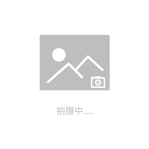 垂直振動試驗臺制造商